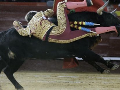 El novillero Román, cogido por su segundo, sufrió luxación del hombro izquierdo.