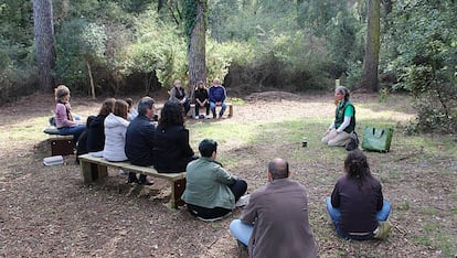 Un grup de persones participa en els anomenats “banys de bosc”.