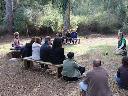 Un grup de persones participa en els anomenats “banys de bosc”.