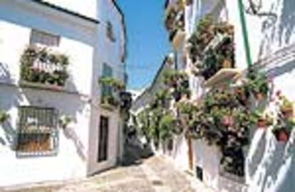 Los geranios colorean las estrechas calles del centro de Priego de Córdoba.