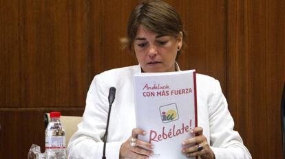 Elena Cortés, en un momento de su intervención en el Parlamento.