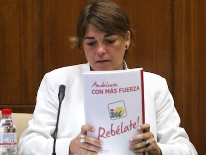 Elena Cort&eacute;s, en un momento de su intervenci&oacute;n en el Parlamento.