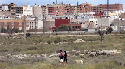 Terrenos afectados por el macroproyecto urban&iacute;stico del plan Rabassa, en Alicante. 