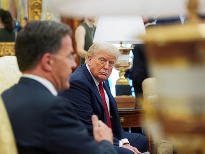 El presidente de EE UU, Donald Trump, mira al secretario general de la OTAN, Mark Rutte, en el Despacho Oval de la Casa Blanca.