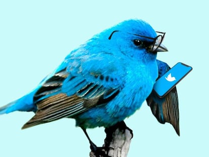 Twitter se plantea convertir su servicio en un "modelo de suscripción"