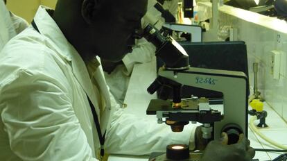 Un investigador en un laboratorio del centro regional Agrhymet de lucha contra la sequía en el Sahel, en Niamey.