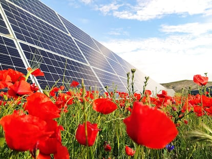 Parque fotovoltaico de Solaria. EUROPA PRESS