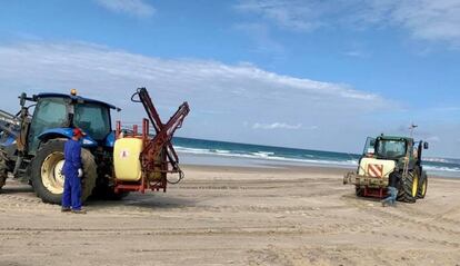 Fotografía facilitada por las asociaciones ecologistas Agaden y Voluntarios de Trafalgar, de los tractores usados en la playa de Zahara de los Atunes (Cádiz) para fumigar con lejía la arena para su desinfección.