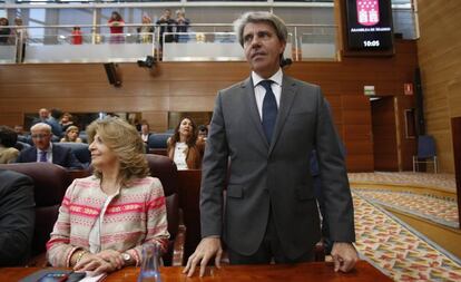 Ángel Garrido durante el pleno investidura hoy.