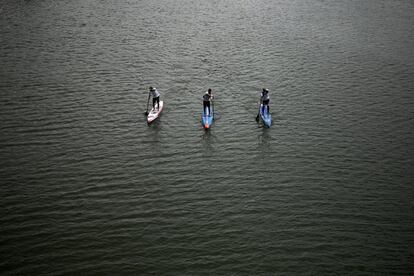 Tres chicos practican 'Paddle Surf' en el río Guadalquivir a su paso por Sevilla.