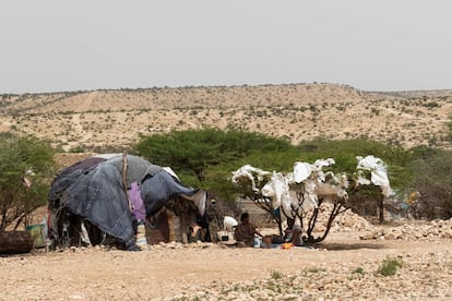 Una familia a la sombra junto a su 'buul' en el campamento Sheij Omer, cerca de Hargeisa, en Somalilandia. El 'buul' es la cabaña tradicional. Antes se construía con hierba y ramas, pero ahora se hace de madera, chapa ondulada y trozos de tela. 