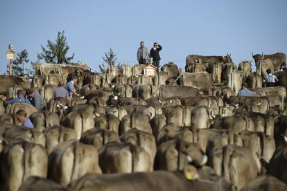 Varias personas observan unas vacas expuestas durante una feria del ganado en Schwellbrunn (Suiza).