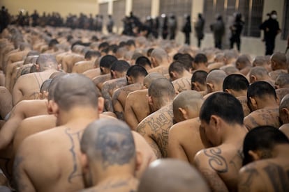 Los pandilleros presos esperando dentro del Centro de Confinamiento de Terroristas, el 24 de febrero, en Tecoluca, El Salvador.