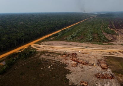 Una zona de tala instalada al lado de la carretera Transamazónica, en Humaitá,  Brasil, en septiembre de 2022.