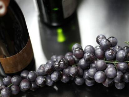 Las exportaciones de vino caen en picado