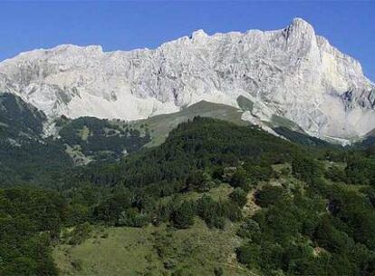 Cumbre de Bure, en los Alpes, una de las zonas  en la que se ha realizado el estudio que analiza la adaptación de las plantas al cambio climático.