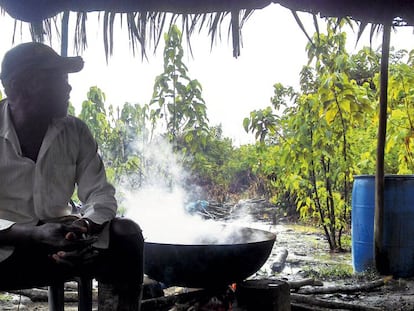 Selvacéutica emplea a productores locales para generar desarrollo biosostenible en Chocó, Colombia.