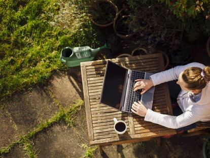 El cliente primero, así buscan las empresas superar la crisis