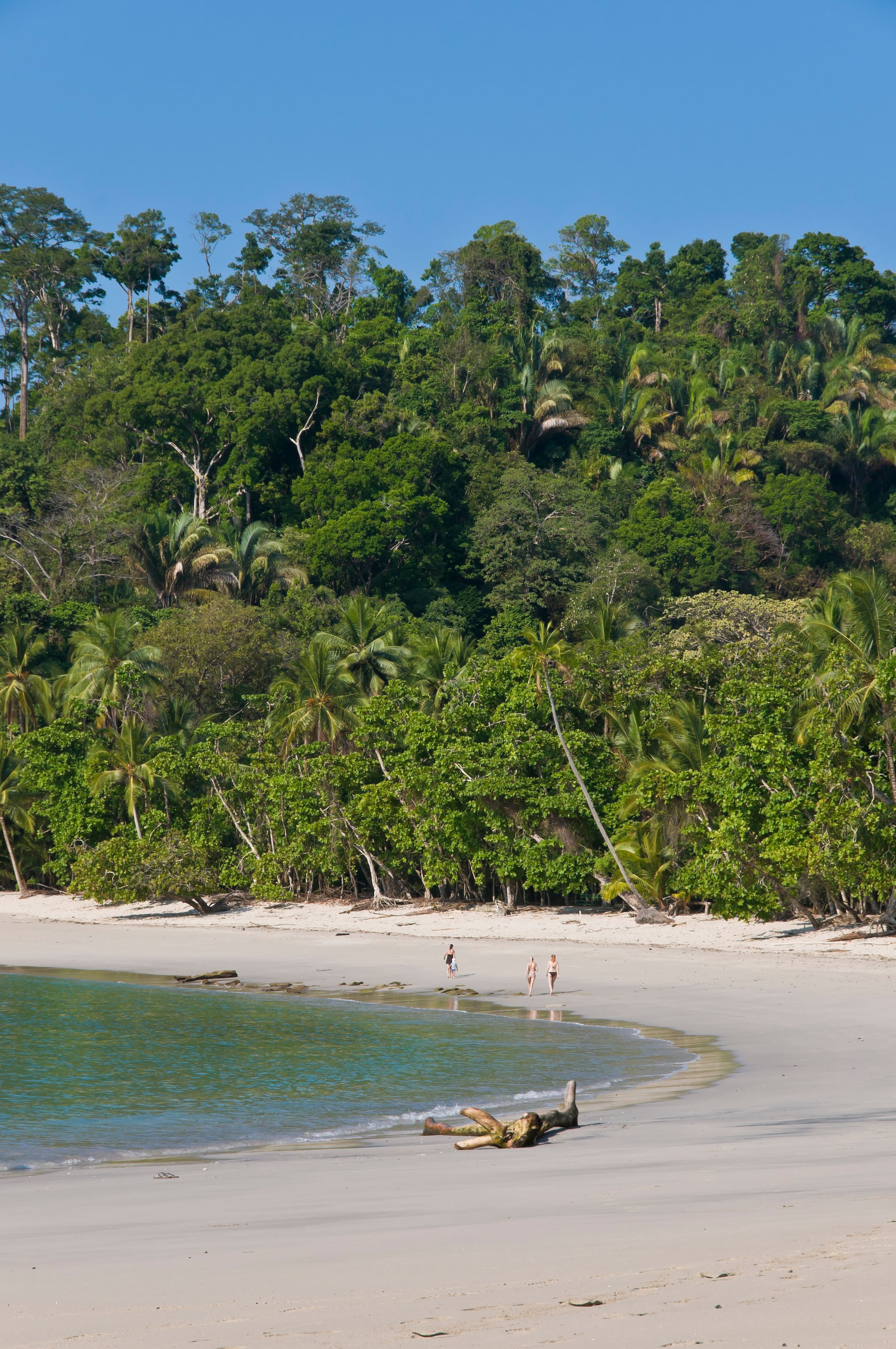 Costa Rica en familia: naturaleza, aventura y playas para grandes y chicos