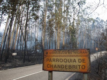 Carpetazo judicial a la gran ola de incendios de Galicia por falta de pruebas