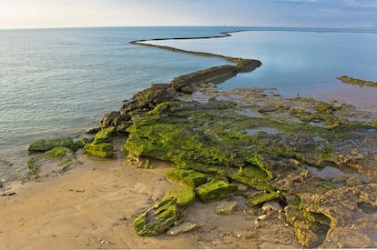 Cuando el Atlántico se retira se pueden observar los corrales de Chipiona (Cádiz), cercados de piedra ostionera que, en marea menguante, se convierten en trampas para peces y crustáceos.