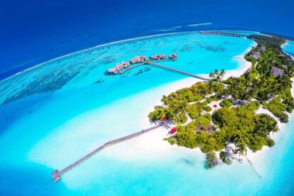 Niyama Resort, en el atolón de Dhaalu (Maldivas).