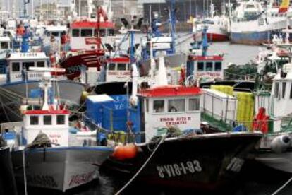 La flota pesquera de las Rías Bajas de Galicia. EFE/Archivo