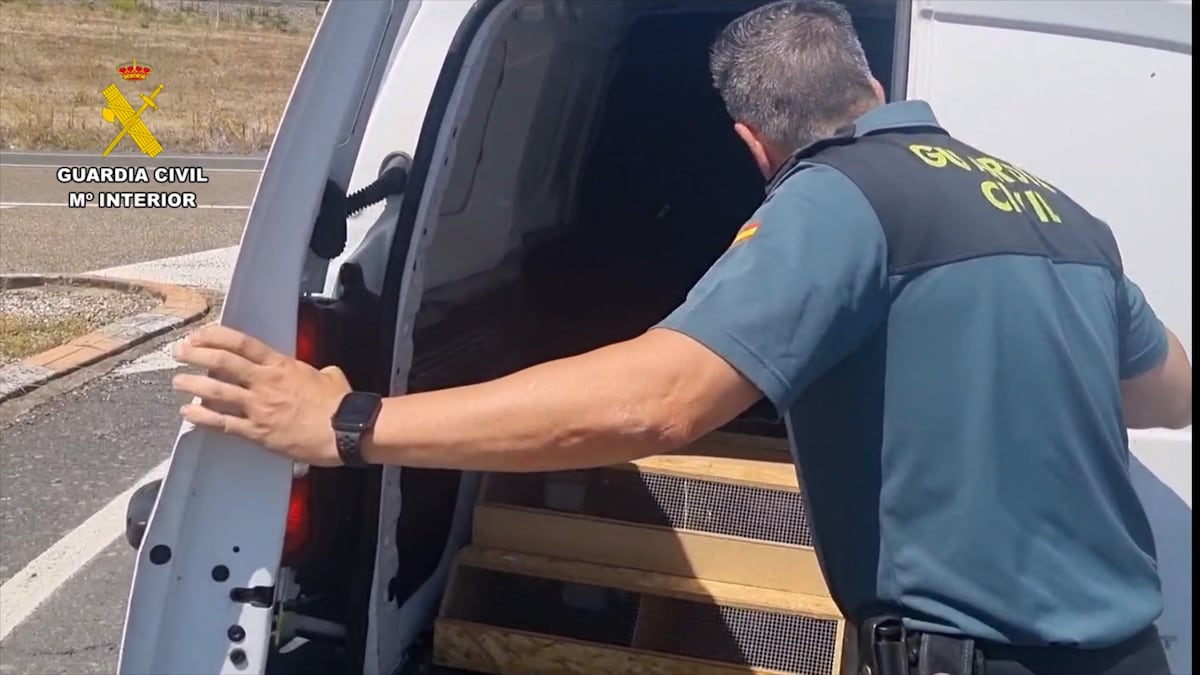 Investigan a un vecino de Molina de Segura en Murcia por tener 6 tortugas protegidas y en peligro de extinción en el jardín de su casa