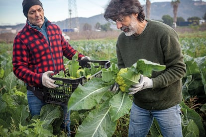 Las preguntas sobre cómo se alimenta la gran Barcelona y qué impactos ecosociales tiene el plato que ponemos en la mesa son la base de una exposición fuera de concurso realizada por el colectivo Más Retina. Un trabajo que pone en valor algunas iniciativas que proponen un modelo agroalimentario sostenible como Cal Rosset (en la imagen), una finca de producción agroecológica ubicada dentro del Parque Agrario del Baix Llobregat.