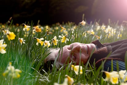 Sue Stuart-Smith, acostada en su pradera rodeada de narcisos.