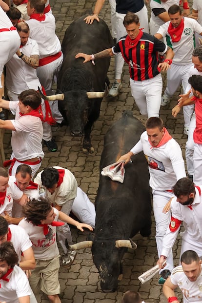 Jongemannen rennen naast de stieren van de Fuente Ymbro-ranch in Cádiz in het laatste stuk dat naar het steegje van de arena leidt.