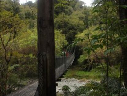 Puente para un máximo de cinco personas en una ruta de senderismo por la West Coast neozelandesa.