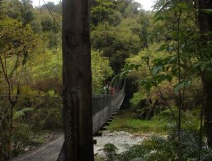 Puente para un máximo de cinco personas en una ruta de senderismo por la West Coast neozelandesa.