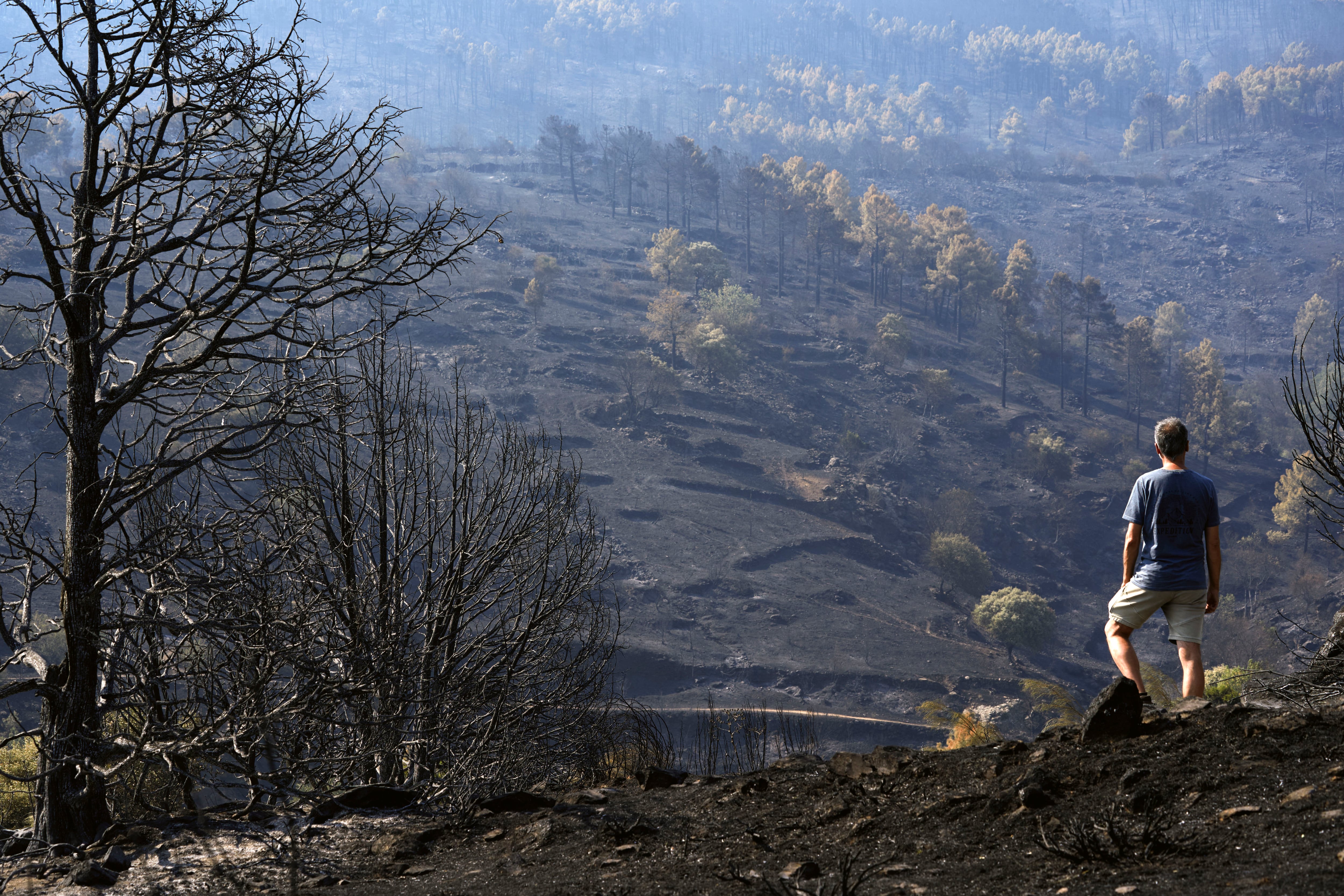 Última hora de los incendios forestales, en directo | Los trabajos en la sierra oeste de Madrid se centran en el entorno del río Cofio, uno de los puntos críticos
