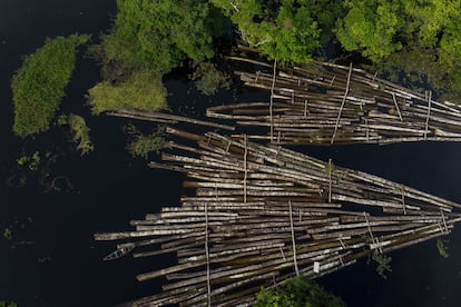 Foto aérea tirada em 16 de julho de 2020 mostra carga de madeira apreendida no rio Manacapuru, no Amazonas.