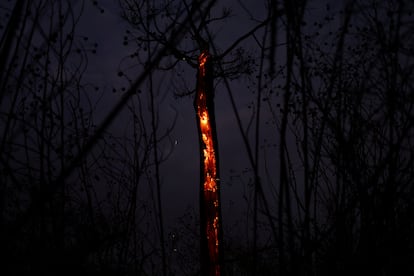 Incendios en Brasil