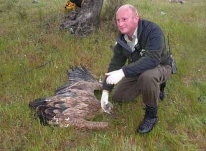 Un agente forestal muestra un ave envenenada en el coto de Huelva.