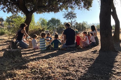 Alumnos de Bosquescuela, de Cerceda (Madrid).