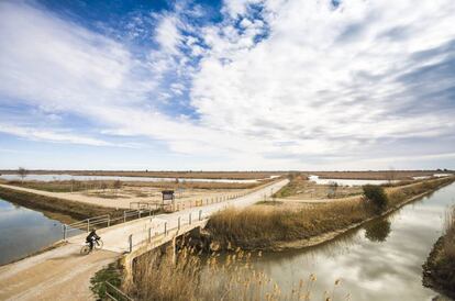 Aspecte del Delta de l'Ebre, camp d'estudi de l'assaig de Gabi Martínez que ha rebut la beca-premi de la llibreria Finestres de Barcelona.