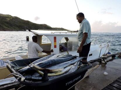Pescadores descargan sus capturas en la costa Este de Barbados.