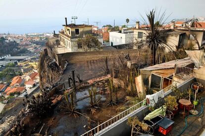 Casas quemadas debido al incendio en Campo de Barca, isla de Madeira.