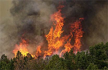 Las llamas avanzan sobre una zona boscosa de la reserva de Fort Apache, en Arizona.