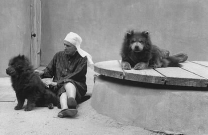 La artista, junto a sus dos perros Chow Chow, en Ghost Ranch.