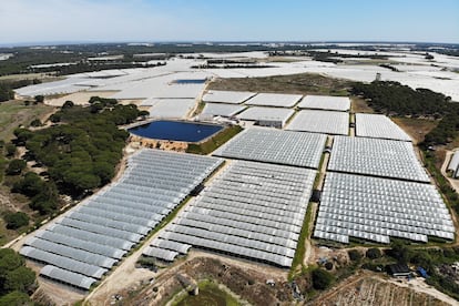 Vista aérea de invernaderos y balsas ubicados en el entorno del espacio protegido de Doñana, en el término municipal de Lucena del Puerto, en Huelva, el 12 de abril de 2023.