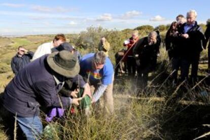 The children and a grandaughter of Jack Edwards scatter his ashes in the Jarama valley.