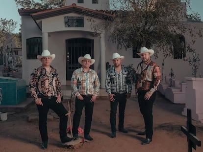 Los Buitres de Culiacán