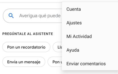 Menú asistente de Google