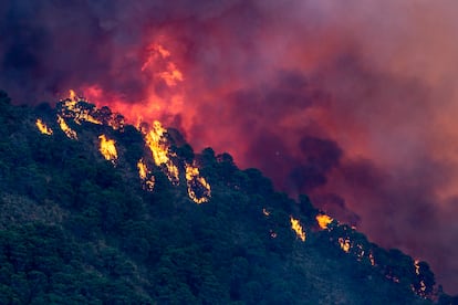 Vista del incendio forestal de Pujerra (Málaga), este jueves.