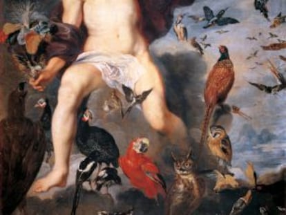 'Eólo', De Rubens, Cuadro del Museo del Prado en el que aparecen múltiples variedades de aves.