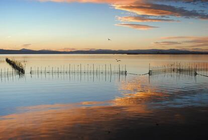 La Albufera (Valencia).